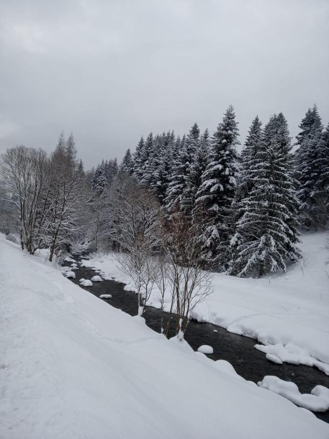 Agroturystyka Oblica Zawoja Exterior foto