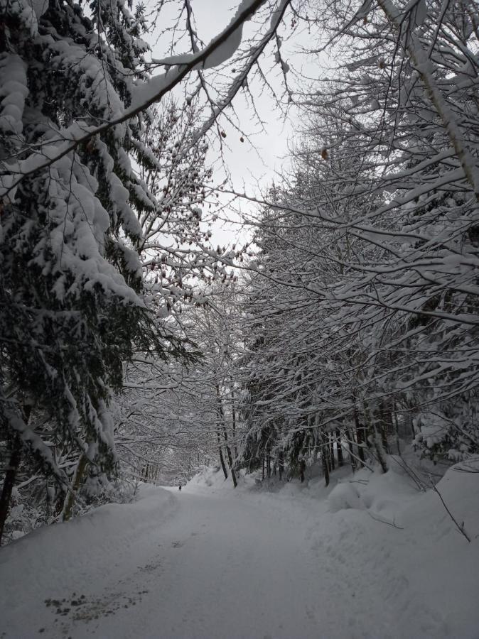 Agroturystyka Oblica Zawoja Exterior foto